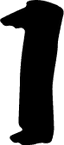 123124
