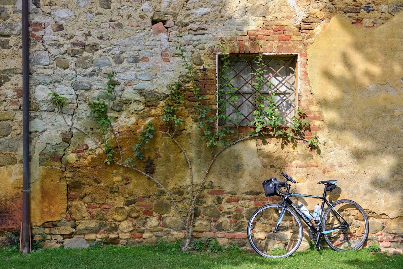 Travel Professionals-hero-image